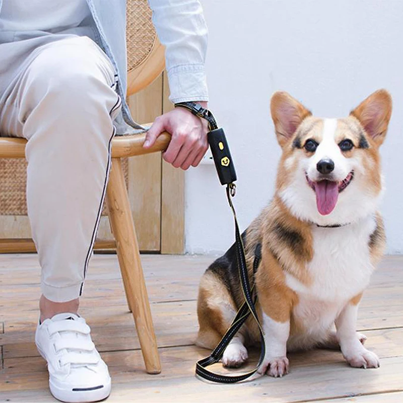 

Explosion-Proof Dog Leash Heavy Duty Multifunctional Pet Handsfree Dog Leash for Small Medium Dogs, White, yellow, black