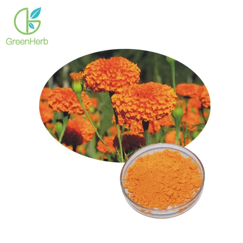 

Marigold flower extract Calendula flower extract lutein powder 5%/10%/20% lutein