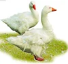 Large Chicken Turkey Killing Processing Restraining Cone Funnel/Killing Cone