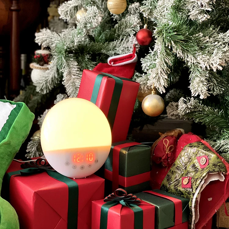 

HomePlus New Arrival Multi-function Portable Natural Light Wake Up Alarm Clock Wake Up Light, White or custom