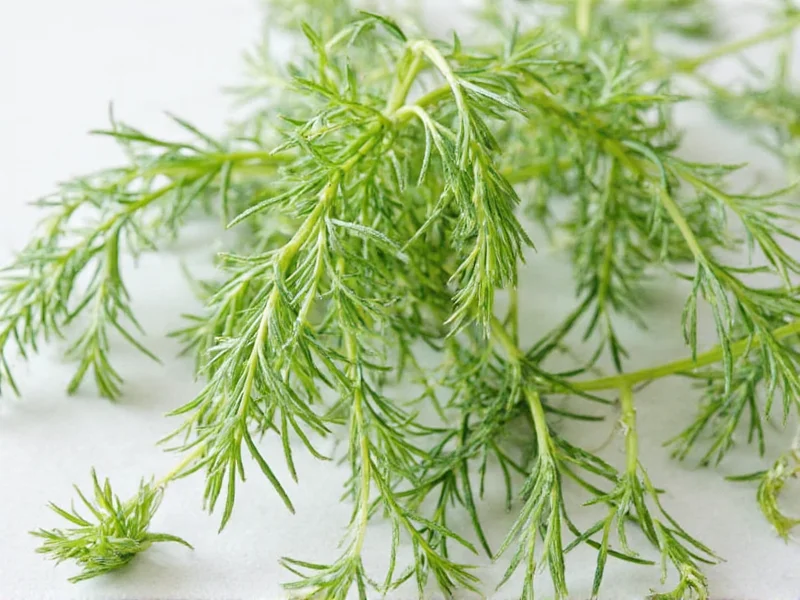 Best Dill Alternatives for Cooking and Recipes