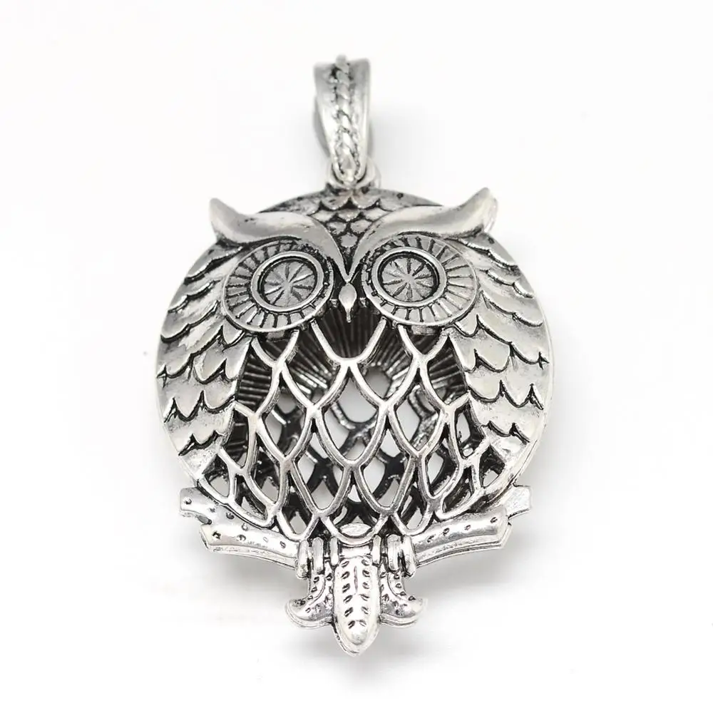 

Pandahall Antique Silver Magnetic Owl Alloy Diffuser Locket Pendant, Stainless steel color