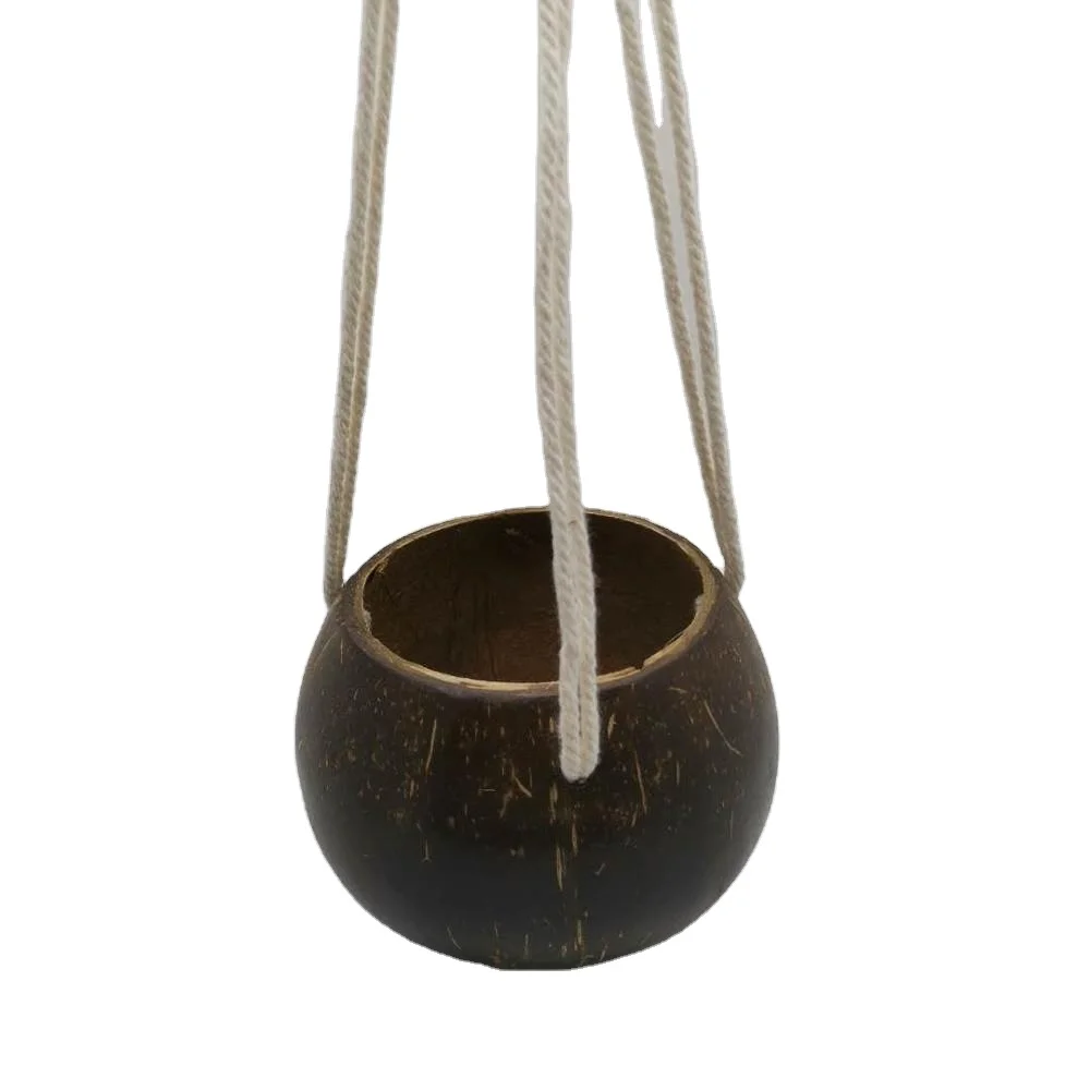 

Old Carpenter Smart Modern Countryside Hanging Mini Coconut Flower Plant Pot On Sale