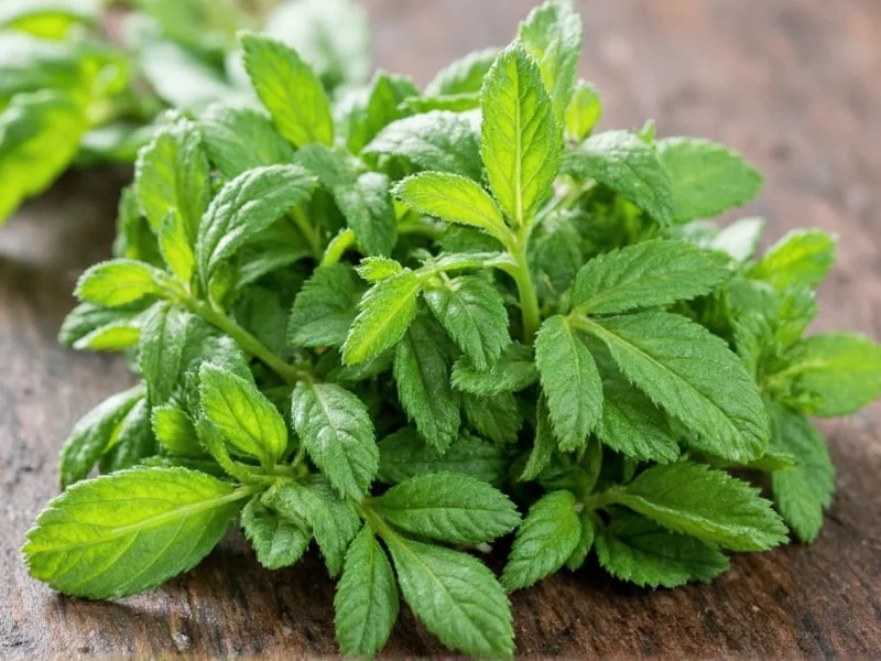 Best Thyme Substitutes: Top Herb Alternatives for Cooking