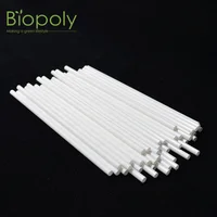 

6*220mm Biodegradable Straight PLA non Plastic Bar Drinking Straw