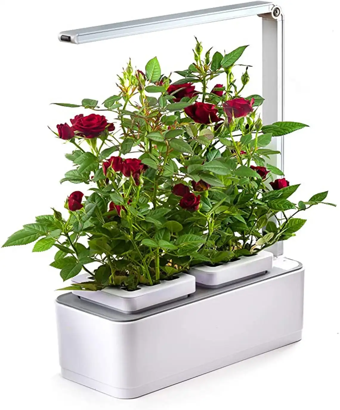 

indoor mini hydroponics grow garden plant grow smart system herb vegetable grow urban garden, White