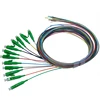 12 core SC APC UPC Pigtail FTTH 0.9mm 1M OM1 OM2 OM3 Fiber Optic pigtail