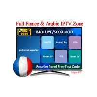 

France IPTV 12 Months Subscription 7400+ Live 5000+ VOD USA iptv Arabic India African Europe List for IPTV Reseller Panel