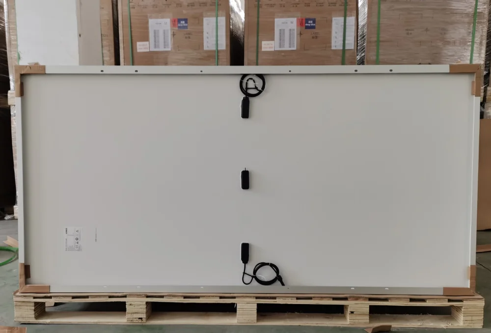 paste-pic-dp_uuid_bxa60