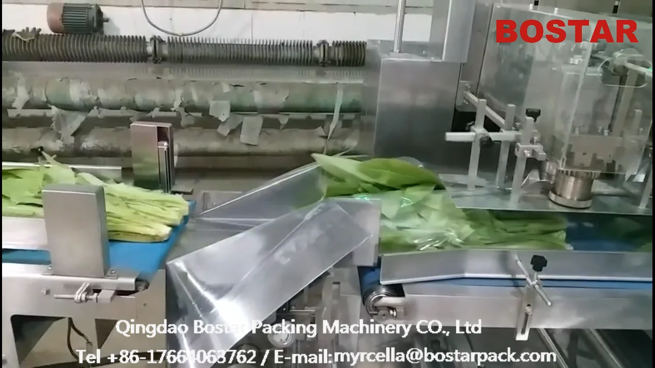 Lettuce Horizontal Packaging Machine For Vegetables Buy Package