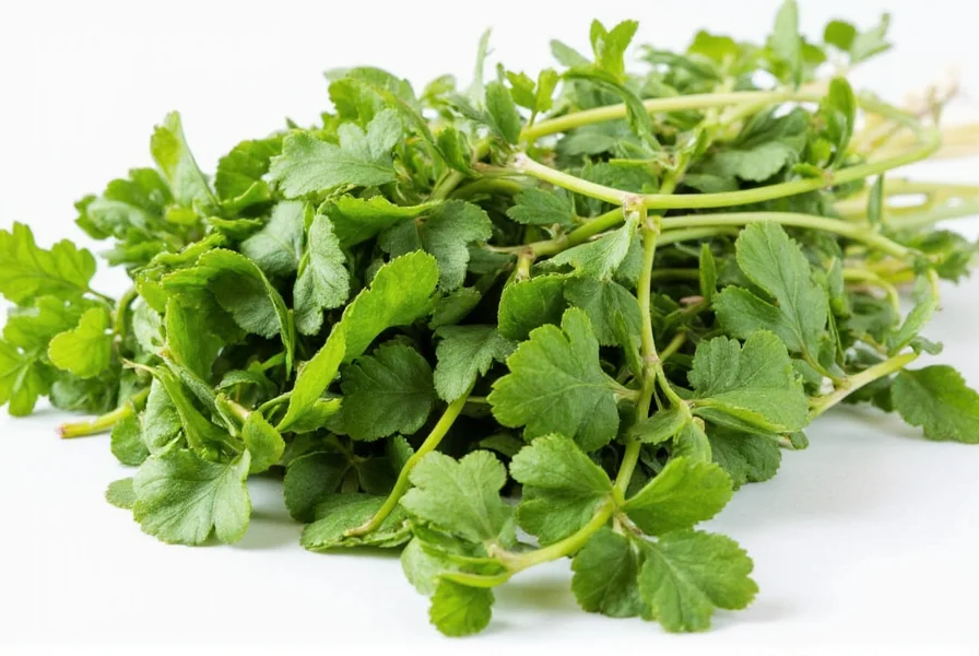 Oregano in kitchen