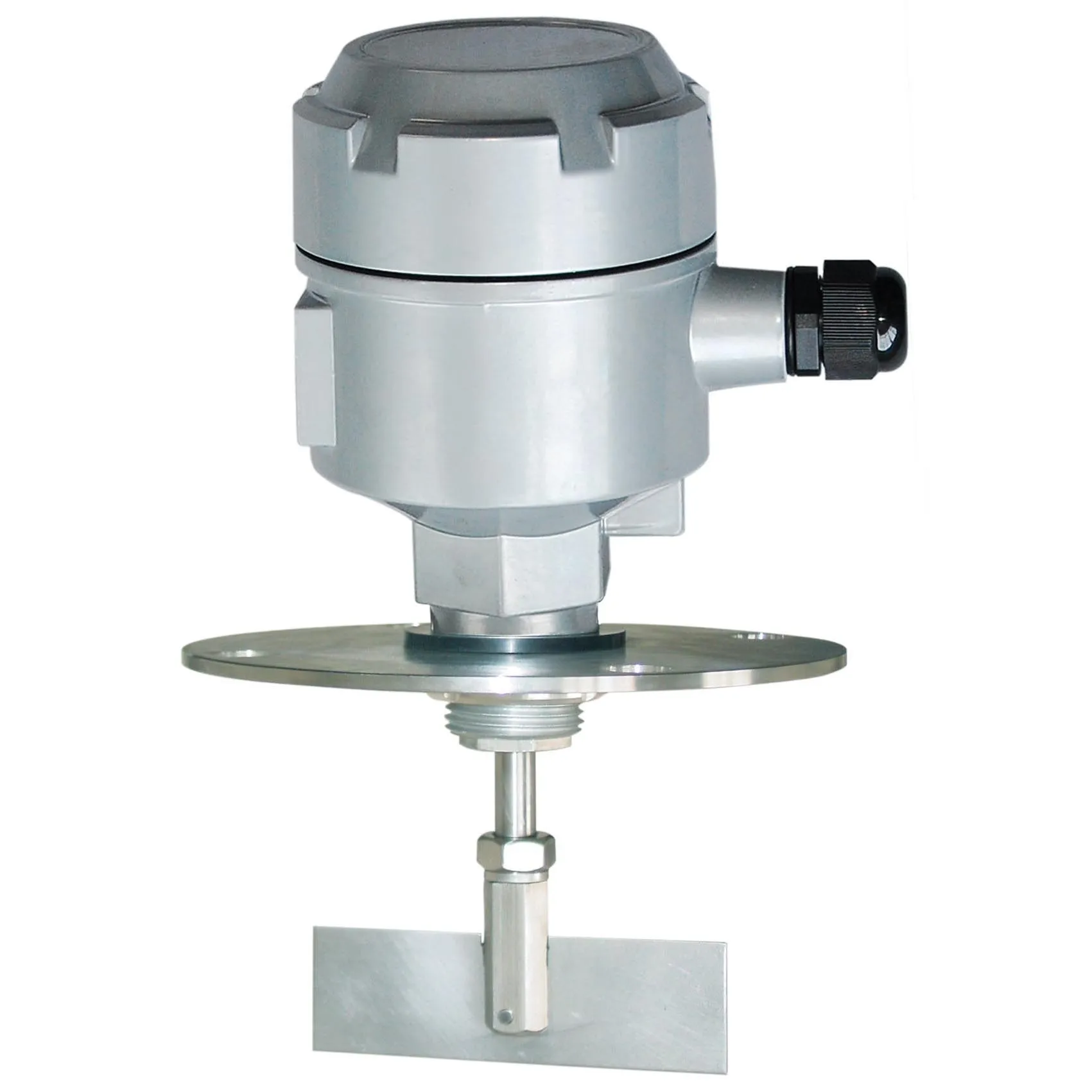 Rotary Paddle Level Switch For Solid And Powder Material Handling - Buy 