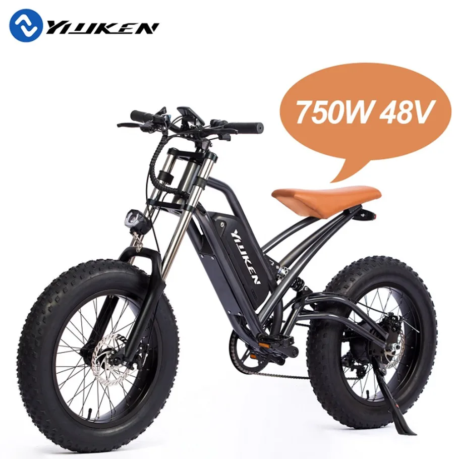 

20 Inch 2 Wheels 750W E-bike 48V 13Ah Full Suspension Folding Fat Tire Electric Mountain Bike
