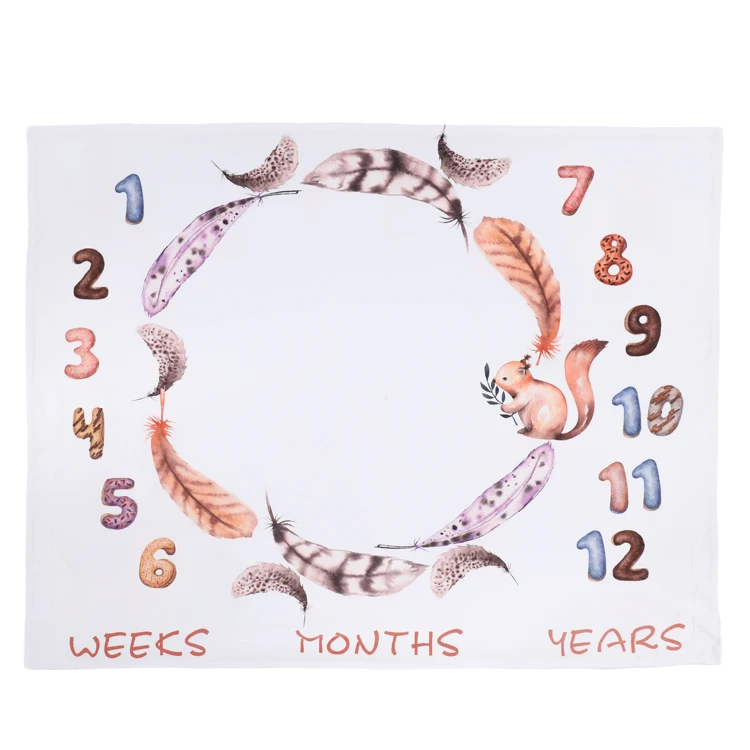 
2019 Amazon Hot Sale New Design Double Sided Different Pattern 2 Ply Babies Milestone Super Soft Fleece Baby Blanket 