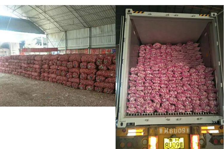 garlic price.jpg