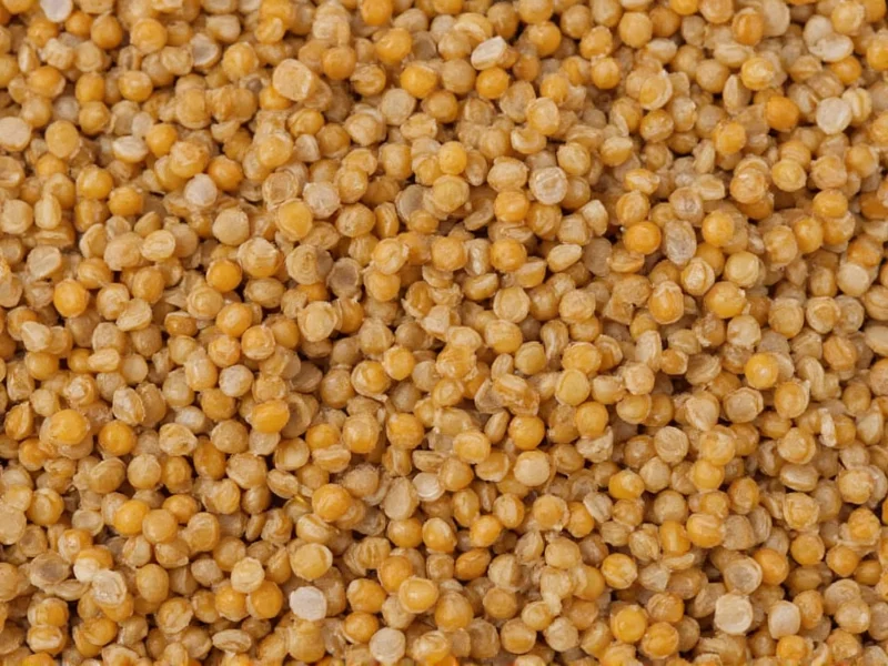 Lentils Carbs: Facts, Net Carbs & Dietary Impact