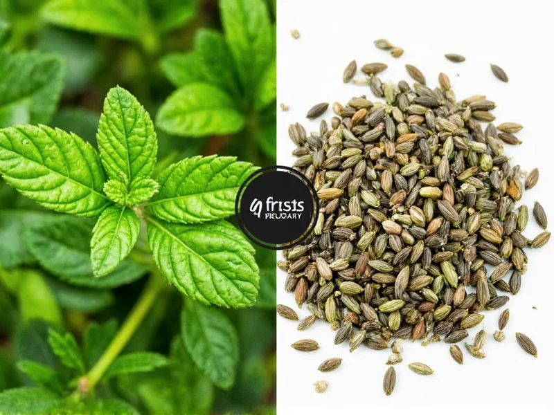 fresh vs dry herbs