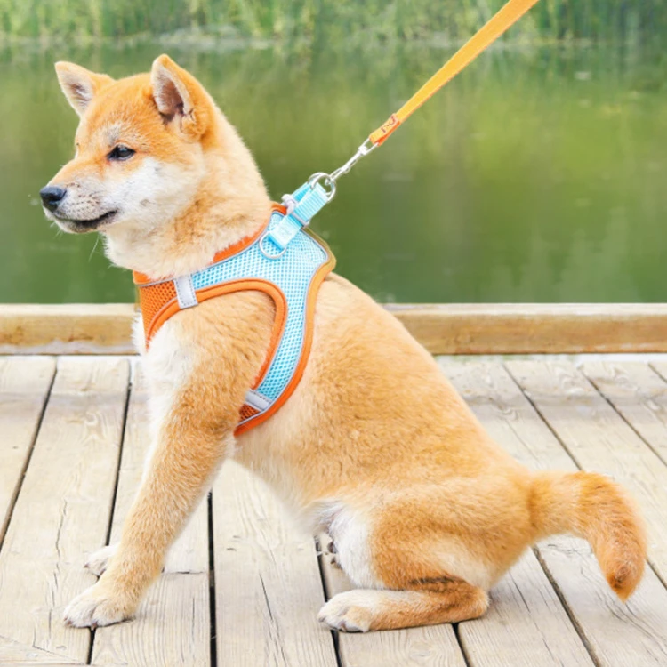 

Pet leash cat and dog's chest harness vest-style walking rope