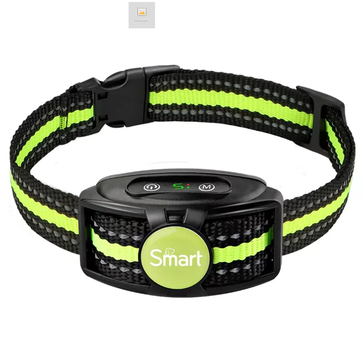 Which Dog Bark Collar Is Best