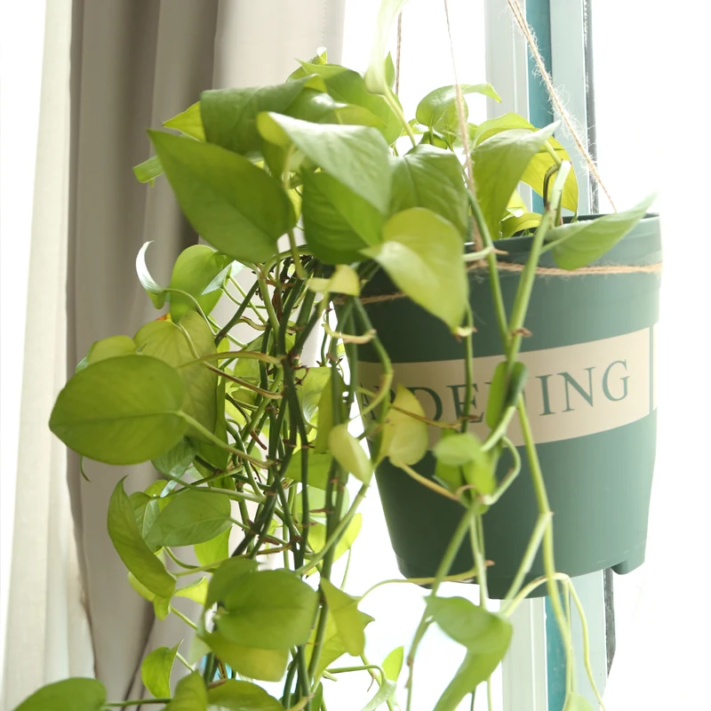 
big plastic pots for plants 7 gallon air flower pot outdoor 7 gallon black nursery pots 