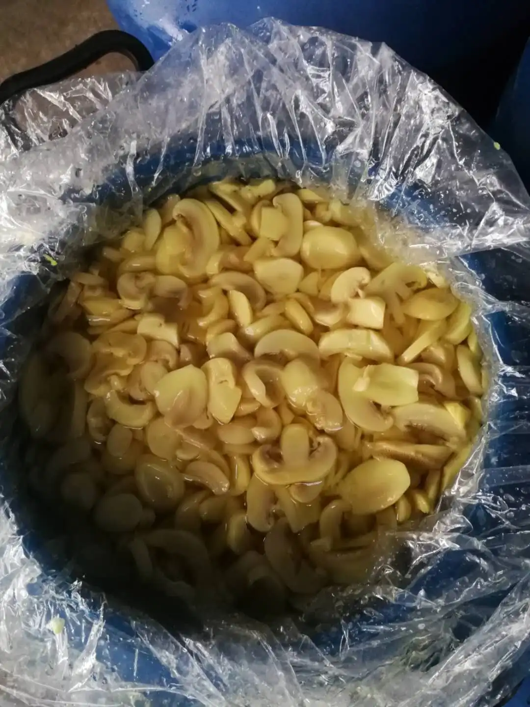 Premium Mushroom Sliced in Brine