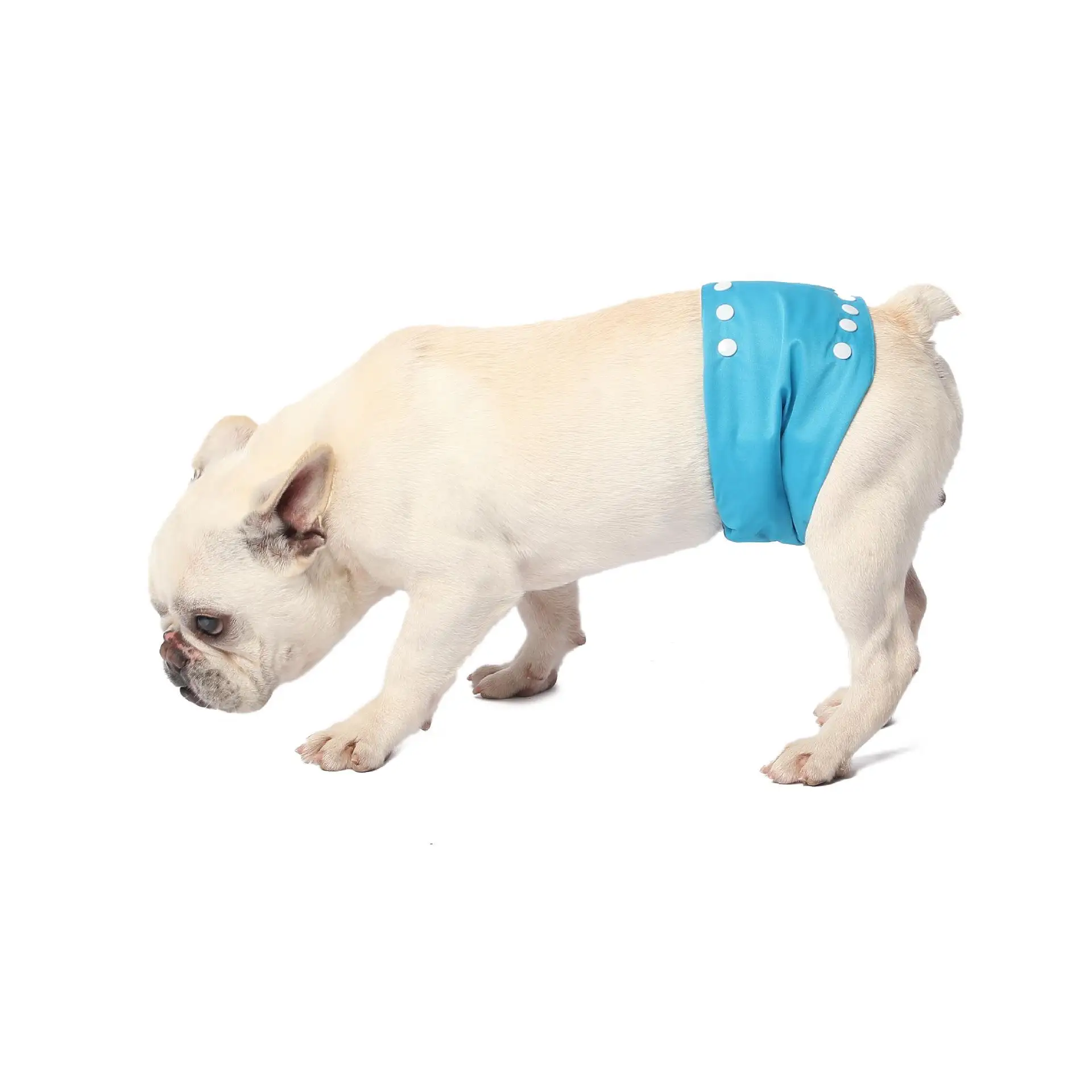 

KENJOY Pet Soft Disposable Pet diapers Ultra Absorbent Leak-Proof Puppy Diapers