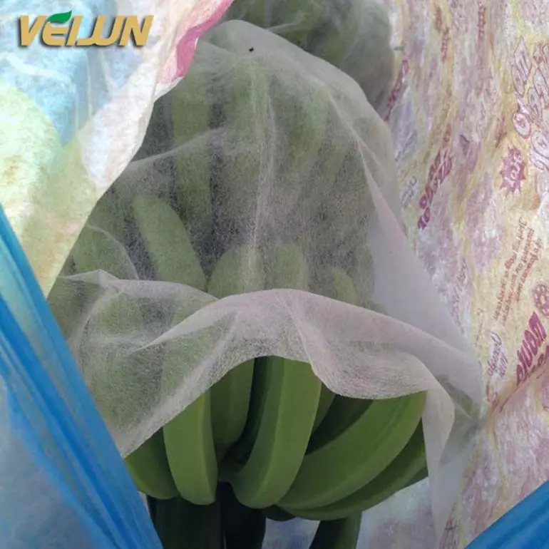 
[FACTORY ] PP nonwoven Fruit protection bag/Banana grow bag 