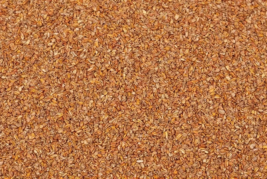 Cumin seeds in various culinary applications including whole seeds, ground powder, and in prepared dishes