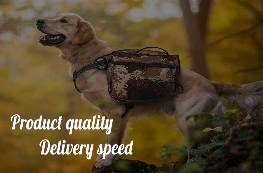 Fuzhou Xinmiao Pet Products Co., Ltd. clothes for pets, Leash