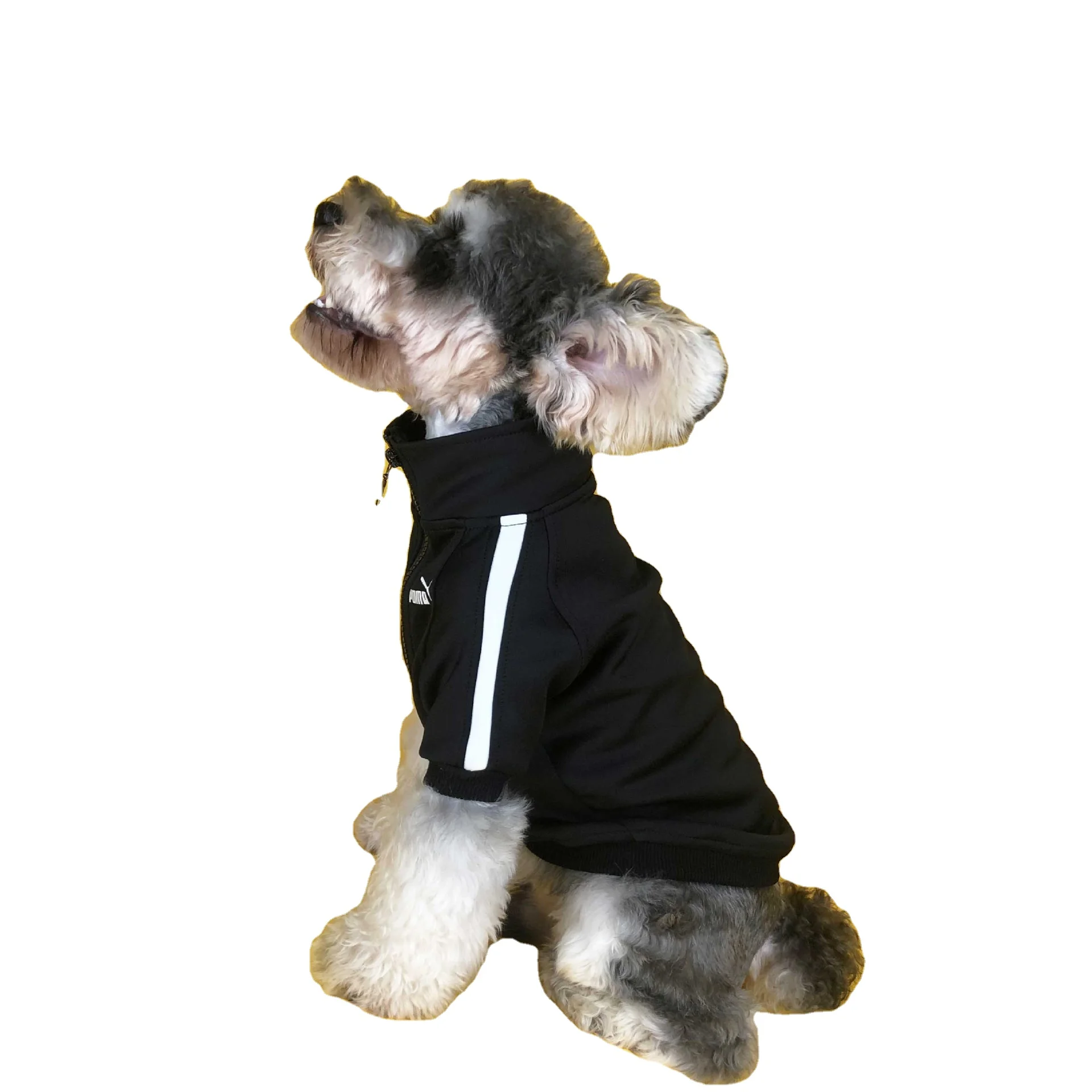 

Dog plus fleece jacket fashion trendy brand casual jacket autumn and winter designer clothes wholesale
