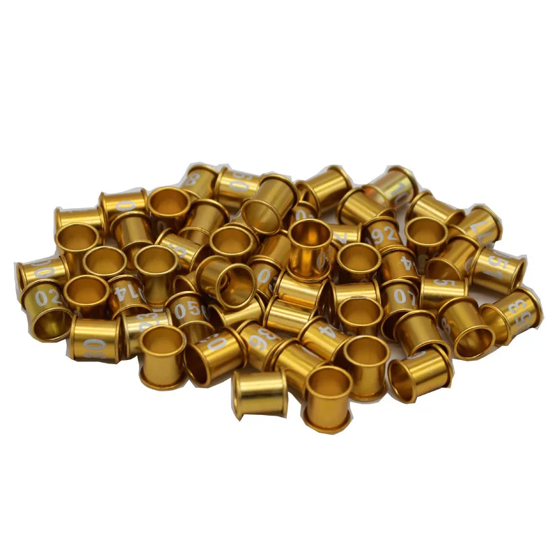 YZ-07 bird ring 1.jpg