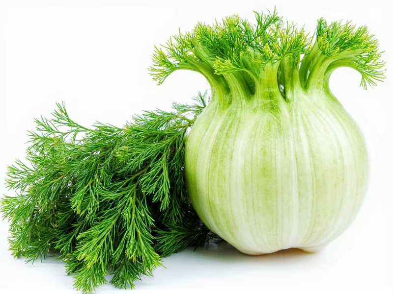 Dill vs Fennel: Clear Differences Explained