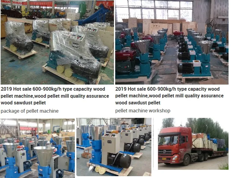 factory of pellet machine.JPG