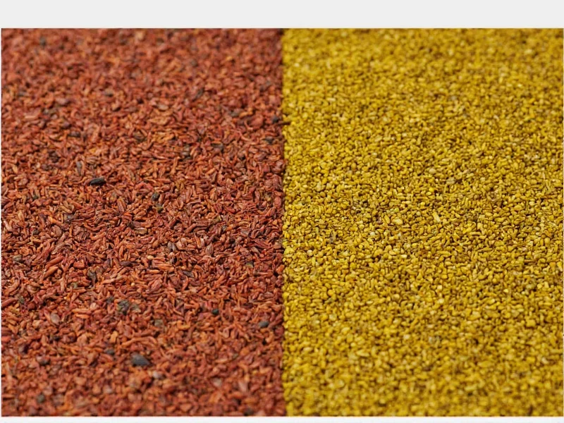 Cassia vs Ceylon Cinnamon: Key Differences Explained