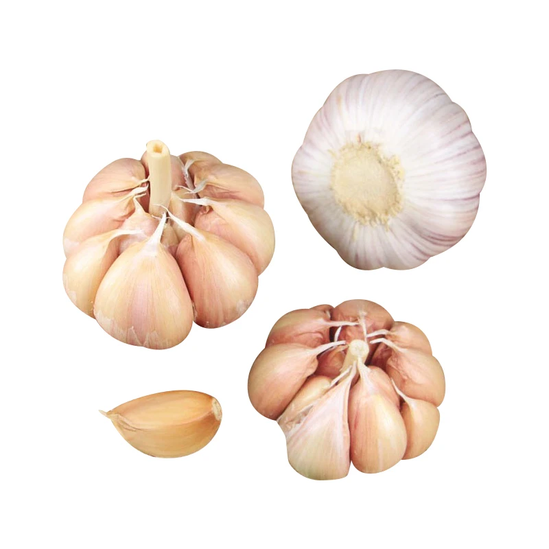 5厘米6厘米普通白蒜