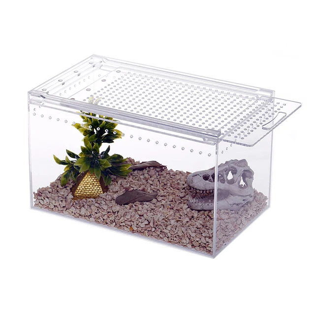 Custom Made Acrylic Reptile Display Cages - Buy Reptile Acrylic Cages ...