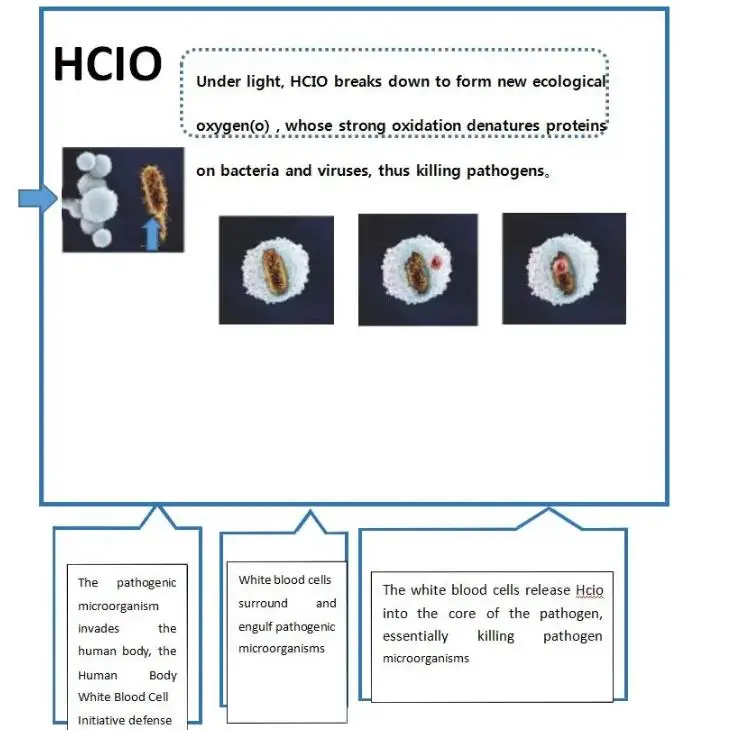 Disinfection Gate 5.jpg