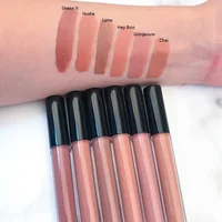 

6 Colors Nude Color Matte Waterproof Lip Gloss No Labels Holographic Distributors Matte Liquid Lipstick