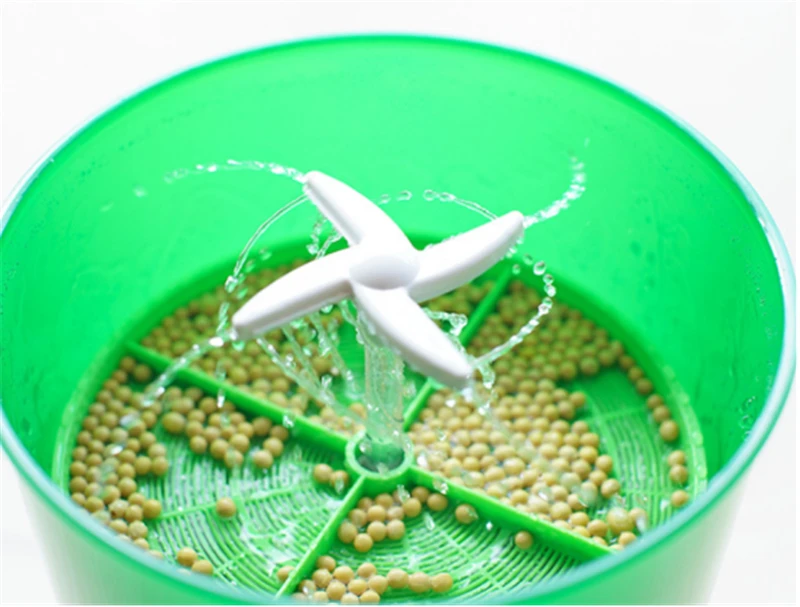 bean machine (1).jpg