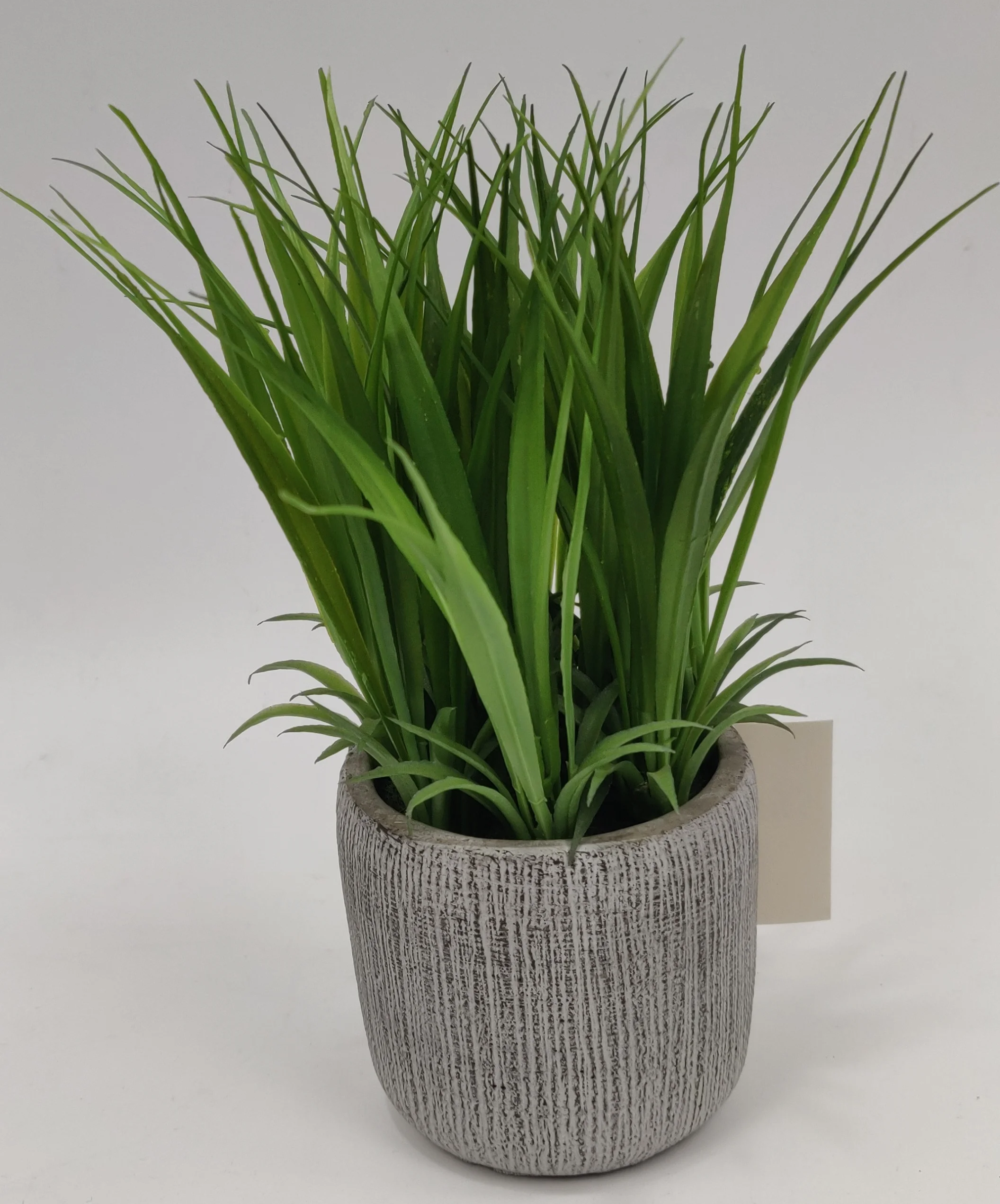 

Artificial Green Plastic Potted Onion Grass Reed Grass Bonsai For Home And Hotel