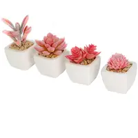 

Set of 4 Mini Red Artificial Succulent Plants Potted