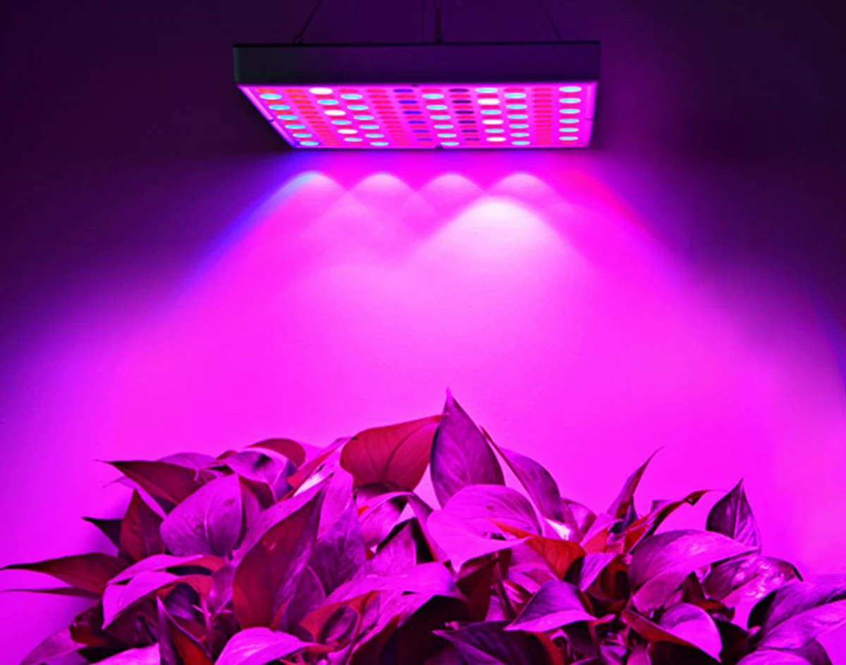 Full Spectrum led grow Light 500w. Лампы для растений светодиодные полный спектр. UV ir лампа для растений. Висячие цветы. Led plant lights