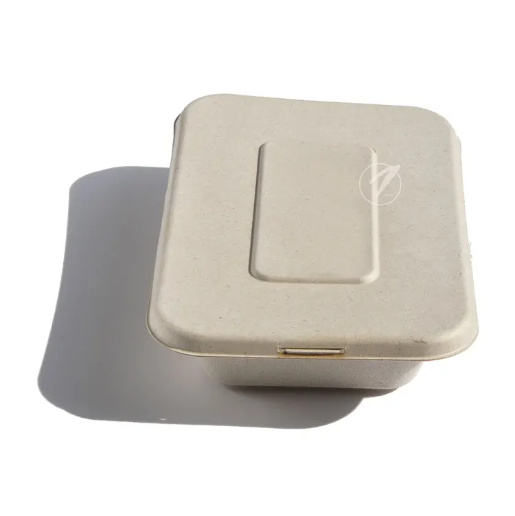 Hot selling no leaking bagasse disposable biodegradable food container