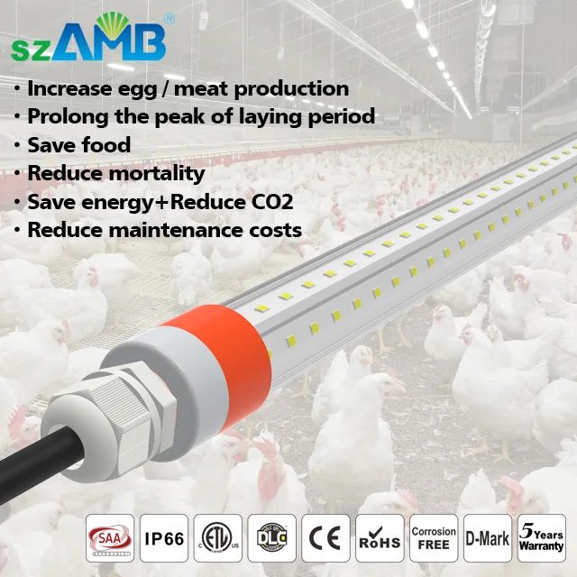 
2020 New Upgraded Rotating End Cap IP67 T8 Poultry Lighting 2020 New Upgraded Rotating End Cap IP67 T8 Poultry Lighting