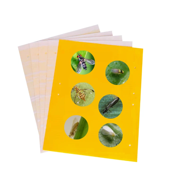 

Dual Sided Yellow Hanging Sticky Fruit Fly Catcher Trap Glue Board Insect Sticky Traps Insects Killer Pest Control Gnat Traps