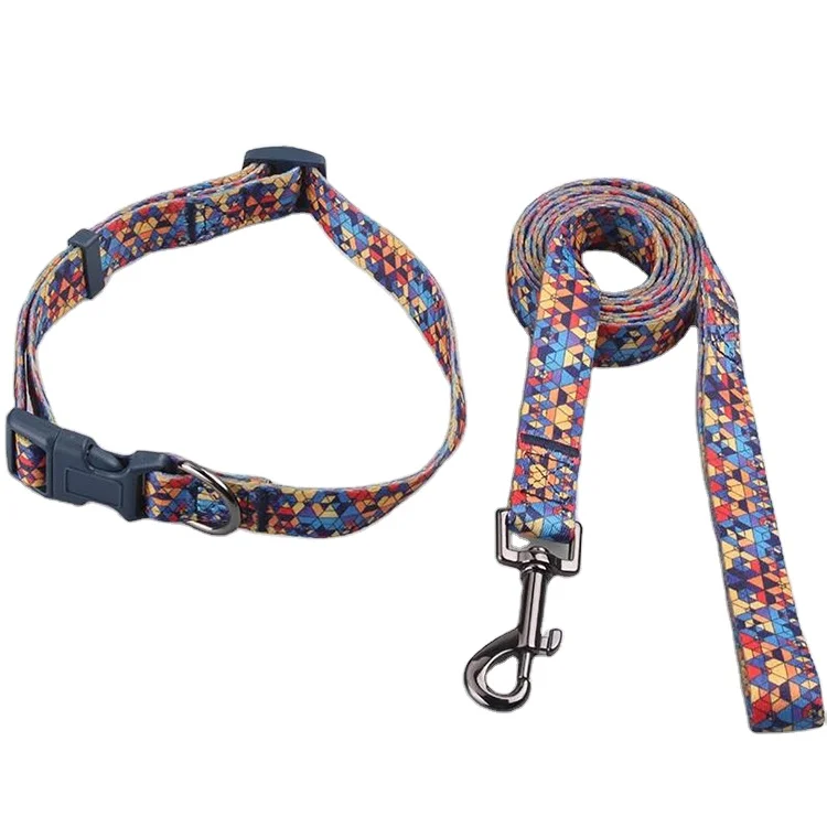 Dog collar leashes-16