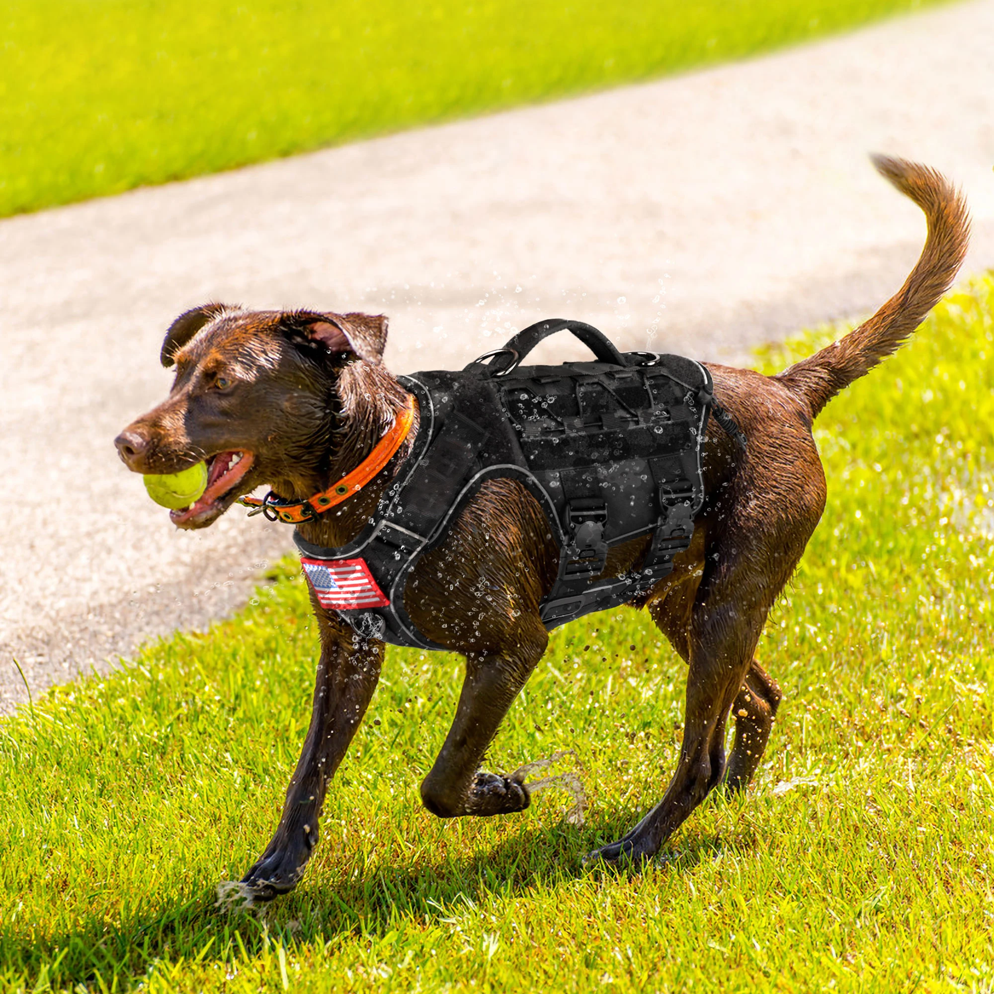 

Adjustable Nylon K9 Military Tactical Dog Vest Harness With 4 Durable Buckles