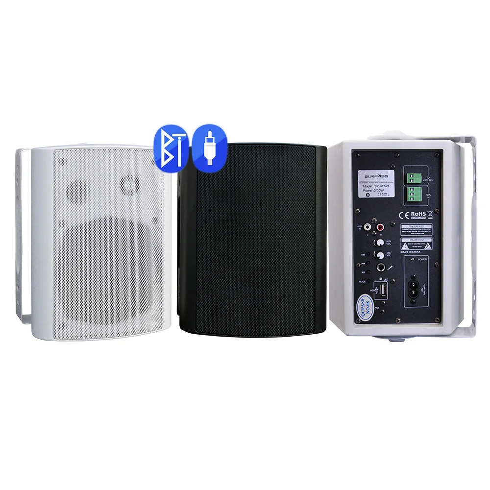 

30Wx2 Active Blue Tooth Class D Digital Wall Mounted Amplifier with USB AUX Port