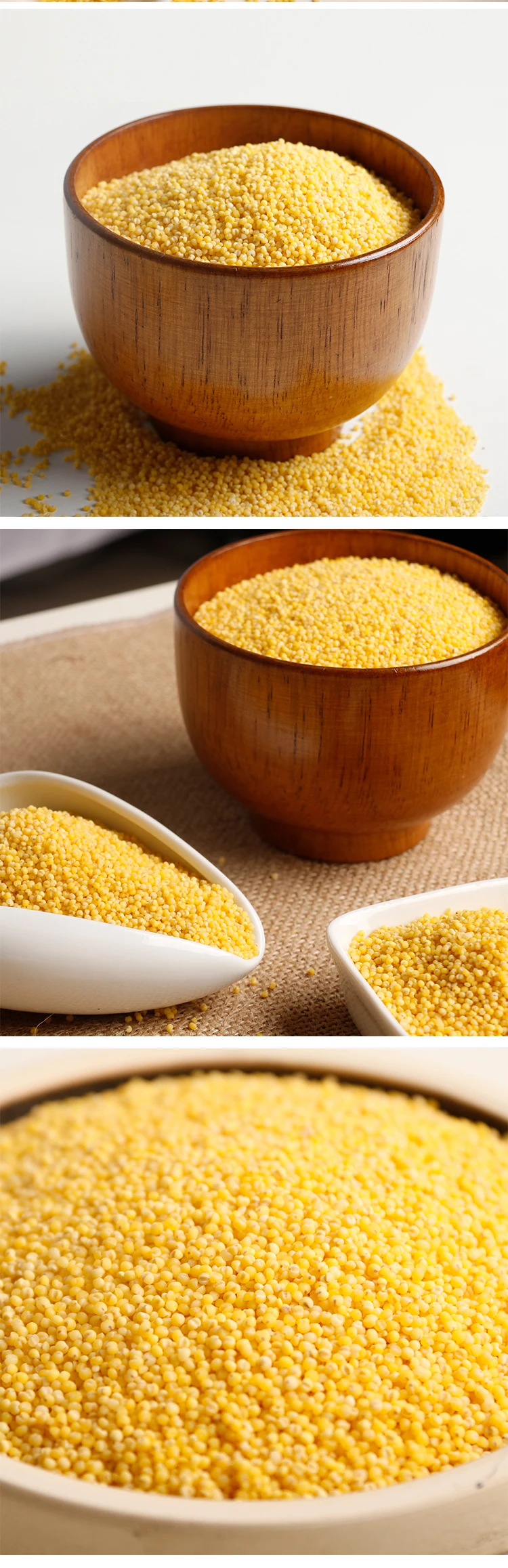 High Quality Seed Moulin Pour Yellow Millet With Good Price