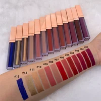 

Color tinted sparkle matte transparent your logo lip gloss tube lipgloss